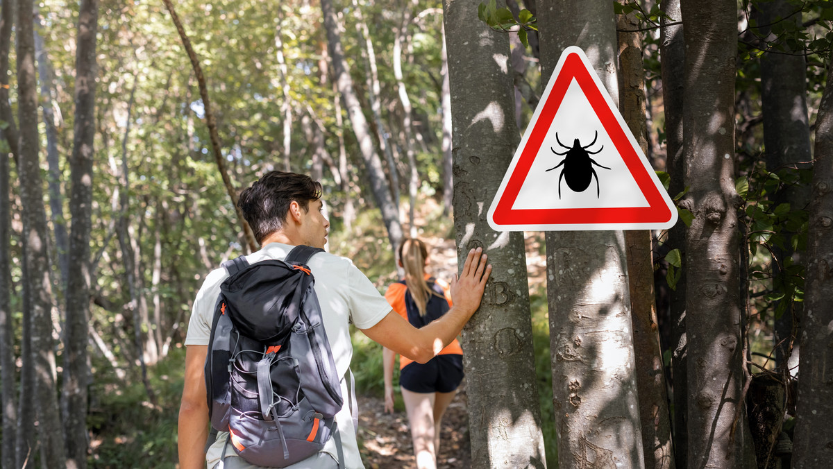 Emerytowany leśnik z Podlasia dzieli się sposobem na kleszcze