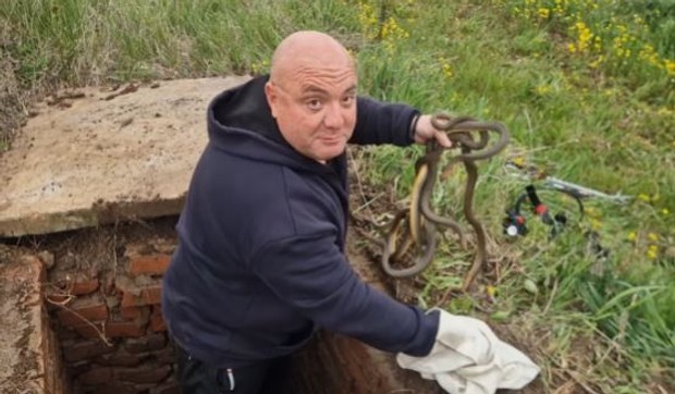 Vladica Stanković uhvatio šest zmija