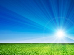 Koniec zimy. Bociany już w Polsce