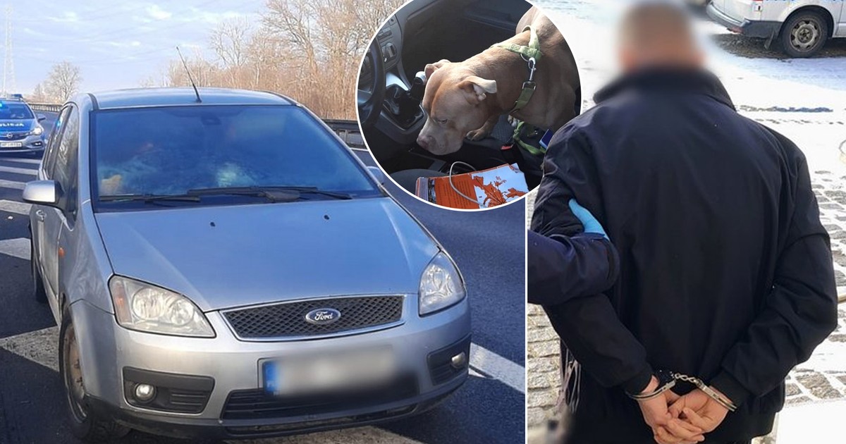 Zatankował złe paliwo i zasnął na A4. Ale to był dopiero początek jego kłopotów