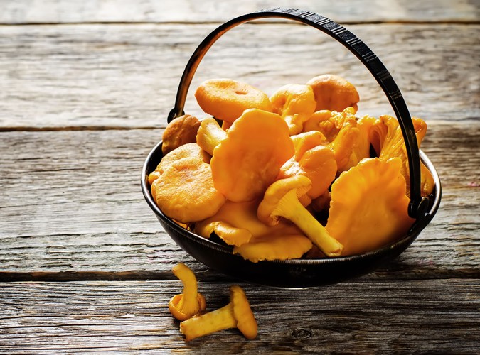 Witamina D wspiera rozwój mózgu