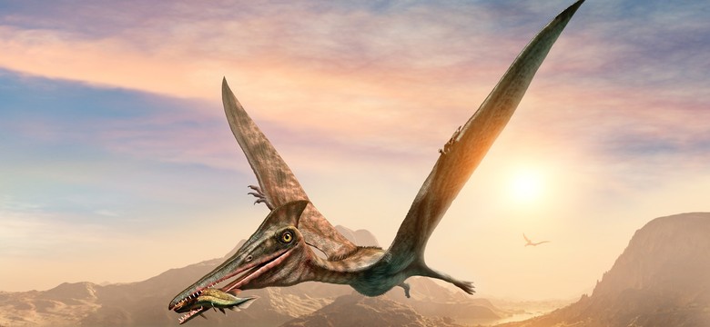 "Całkowite zaskoczenie" w Szkocji. Paleontolodzy dokonali niezwykłego odkrycia
