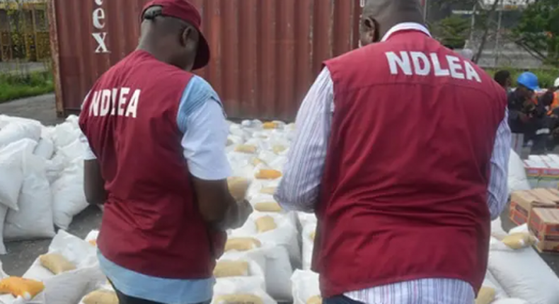 NDLEA officials [Vanguard News]