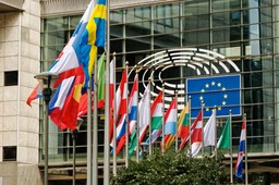 Plan dla Brukseli będzie gotowy na przełomie roku [WYWIAD]