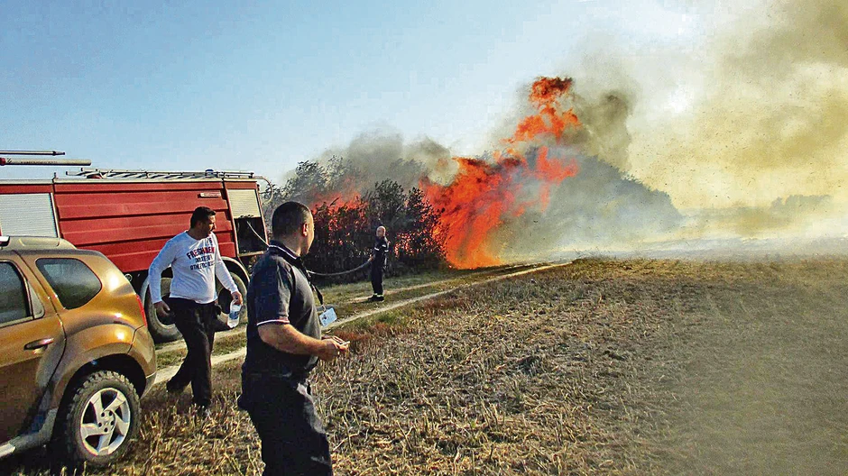PONJAVICA: Posledice paljenja strnjike