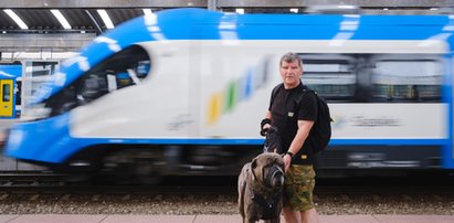 Urząd ujawnił wstydliwe dane. Tyle pociągów się spóźniło. Nie uwierzysz, jakie są powody. "Sorry, taki mamy klimat"