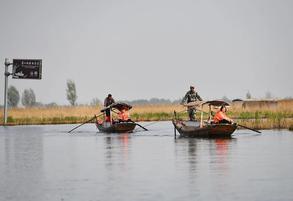 Oblast Ansin snabdeva pekinšku pijacu ribom