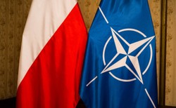 NATO, wojsko, UE. Polacy wskazali, kogo darzą największym zaufaniem [SONDAŻ]