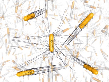 Egy ősi gyilkos épp rezisztenssé válik az antibiotikumokkal szemben – figyelmeztetnek a tudósok