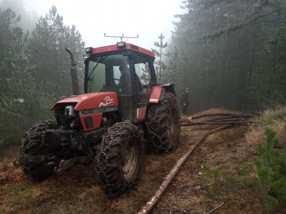Milun, njegov sin Radiša i Vladimir Jovanović u sredu su iz šume izvlačili građu