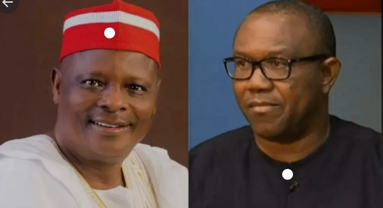 Rabiu Kwankwaso and Peter Obi (Vanguard)