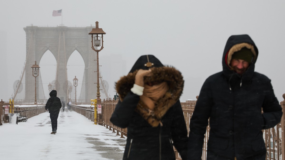 Sneg u Njujorku, Bruklin Bridž 25. januara