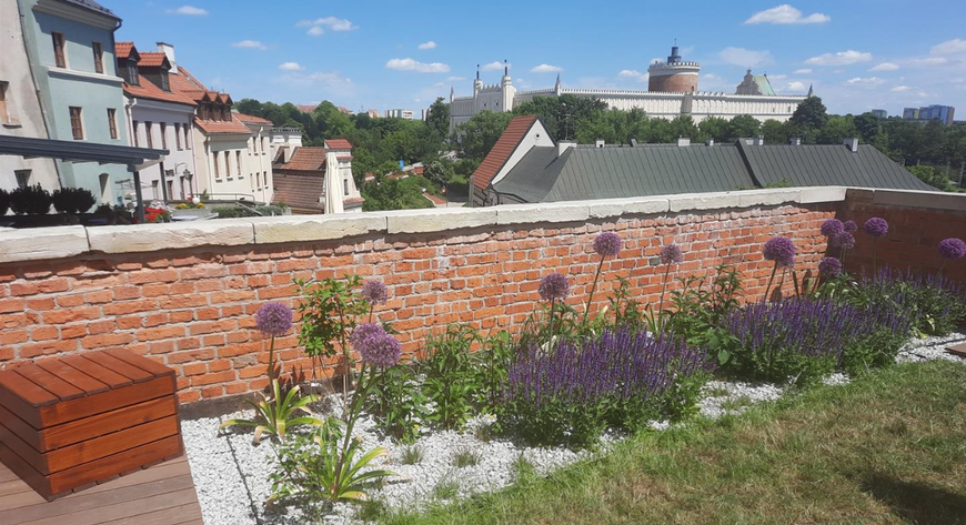 Im więcej zieleni w mieście, tym bardziej komfortowo się w nim mieszka i przebywa, zwłaszcza latem, kiedy temperatury mocno dają się nam we znaki.