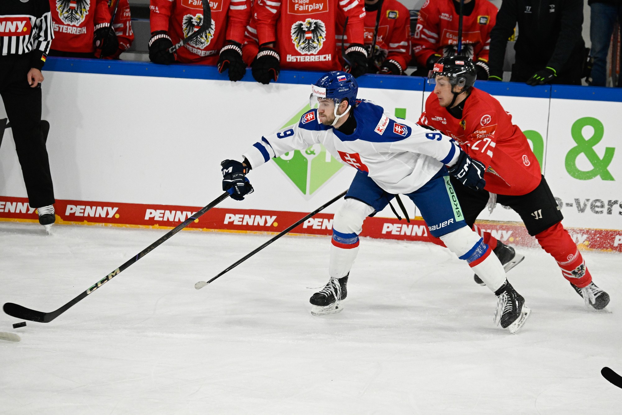 Vľavo Rayen Petrovický (Slovensko) a vpravo Paul Huber (Rakúsko).