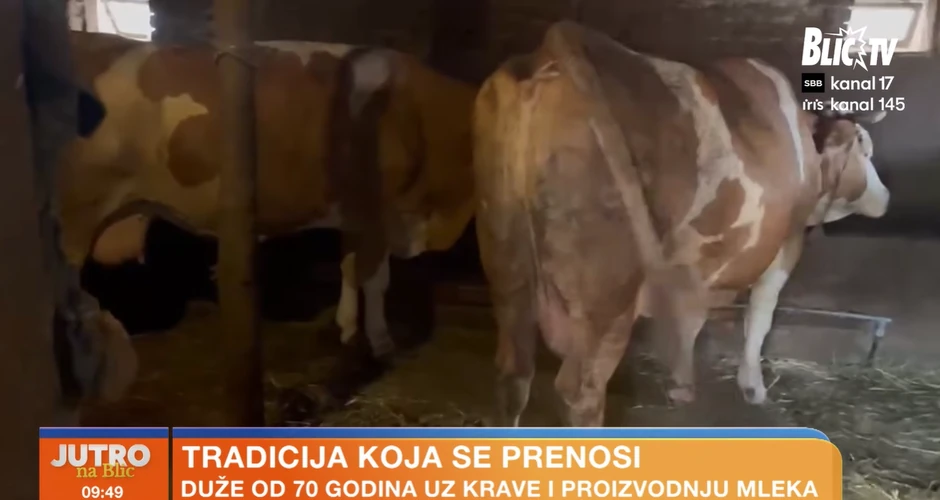 Gazdinstvo porodice Stojanović