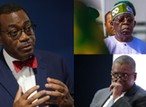 AfDB president Adesina backs Dangote in dispute against FG
