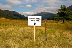 BrewDog walczy z ociepleniem klimatu. Browar zasadzi las i zmniejszy emisję CO2