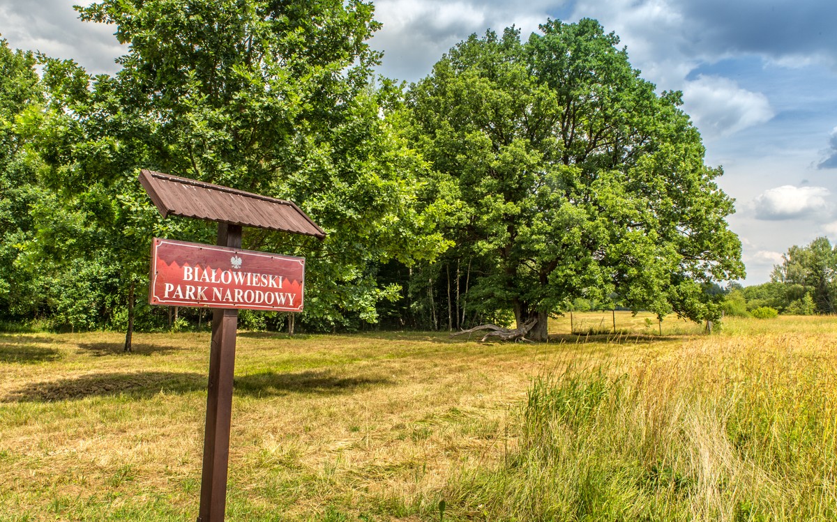 Podlasie w kryzysie. Przedsiębiorcy z Białowieży walczą o przetrwanie