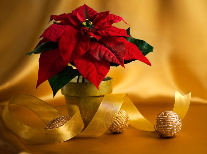 Jak przystroić mieszkanie na święta