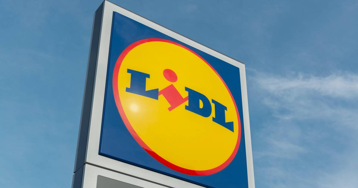 Ten detal z Lidla odmieni mieszkanie na wiosnę. Teraz kupicie go taniej