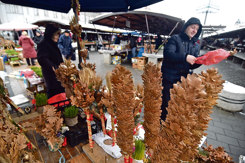 Najtraženiji mali, ali ima i badnjaka od šest do sedam metara
