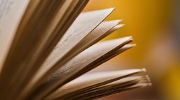 QUIZ ze szkolnych lektur. Pamiętasz, gdzie działa się akcja tego arcydzieła?