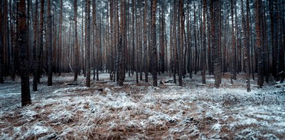 Pogoda zrobi psikusa w Lany Poniedziałek. IMGW wydał ostrzeżenia