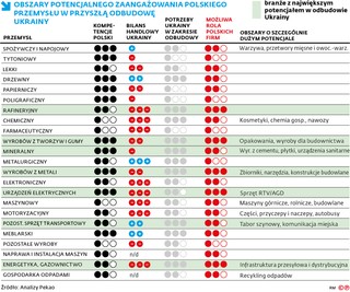 OBSZARY POTENCJALNEGO ZAANGAŻOWANIA POLSKIEGO PRZEMYSŁU W PRZYSZŁĄ ODBUDOWĘ UKRAINY