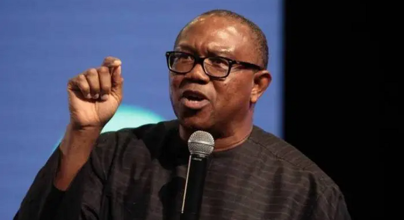 Peter Obi, Presidential candidate of the Labour Party. (Punch)