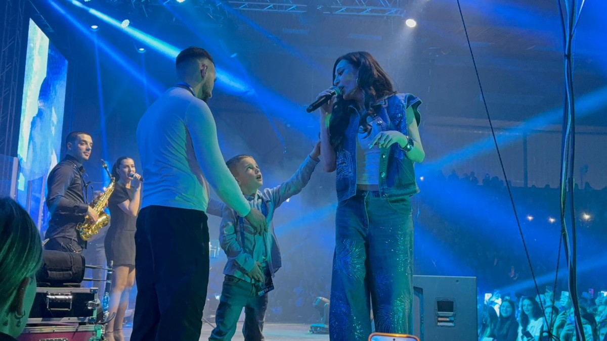Ceca Ražnatović, koncert