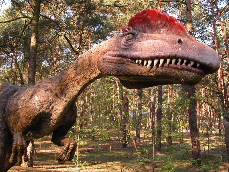 Park dinozaurów w Solcu Kujawskim - największe atrakcje woj. kujawsko-pomorskiego