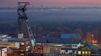 Antoniszyn-Klik: Śląsk potrzebuje reindustrializacji; to plan na najbliższe lata