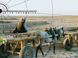 Kobieta zachodu w zetknięciu z kulturą Afganistanu w książce "Dobra pustynia"