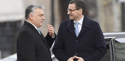Polska i Węgry liderami w europejskim rankingu. Ale to nie jest powód do dumy