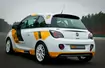 Opel stawia na sport