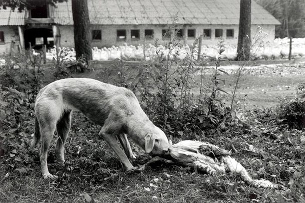 WYRÓŻNIENIE Podlasie Autor_Michał Najberg_06