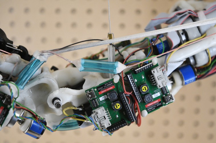 ROBOTY PRZYSZŁOŚCI. WYSTAWA W LONDYŃSKIM SCIENCE MUSEUM