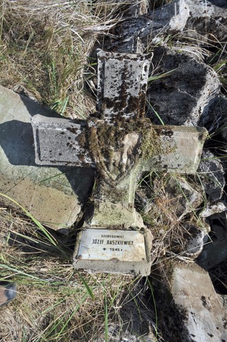 Odsłonięte brzegi Odry