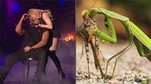 Madonna całuje Drake'a - najlepsze memy