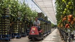 dlaczego polacy emigrują? jest jeden główny powód. dotyczy wybranych krajów