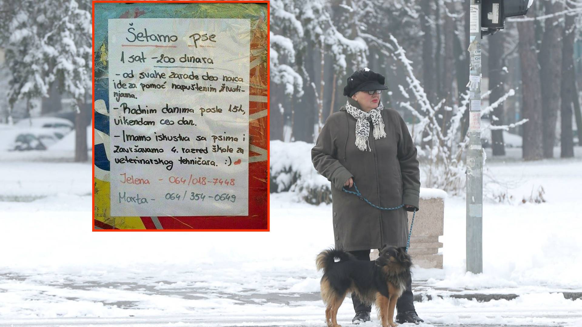 Oglas dve devojke koji će ozariti sve vlasnike kućnih ljubimaca u Beogradu