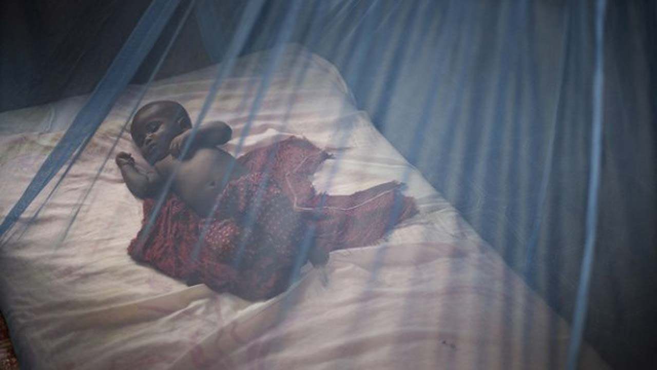 FG plans to borrow N82 billion to buy mosquito nets - Vimarsana News