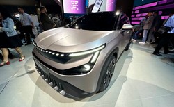 Skoda wyprzedza rynek: Nowy SUV to cios w "chińczyki", Octavia hitem