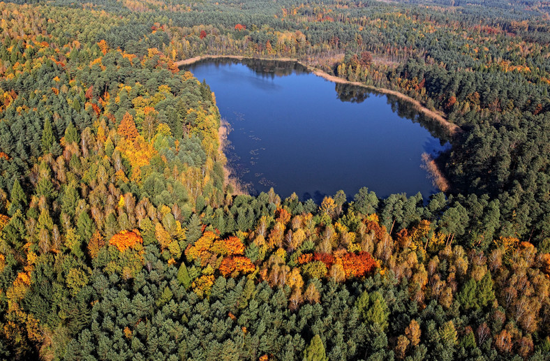 Górznieńsko-Lidzbarski Park Krajobrazowy