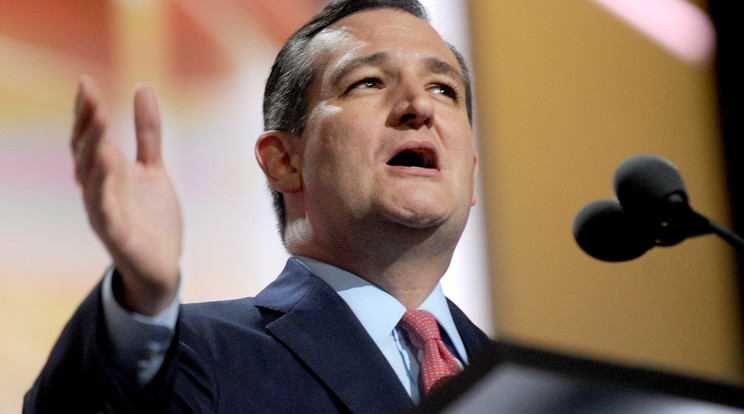 Ted Cruz texasi szenátor megerősítette, indulna a republikánus elnökjelöltségért 2024-ben /Fotó: Northfoto