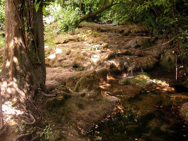 Galeria Chorwacja - Wodospady Krka, obrazek 20