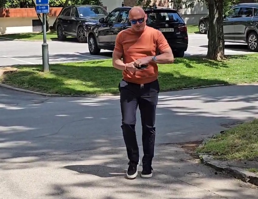 Zvezde Granda Aleksandar Milić Mili 