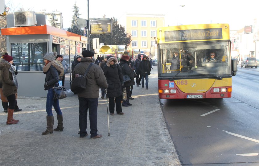 Rzeszowianie przesiedli się do darmowych autobusów