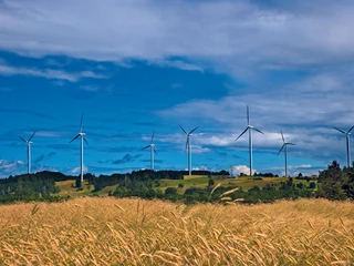 Umowy PPA mogą dotyczyć energii produkowanej w zasadzie przez każde OZE – w tym farmy wiatrowe.