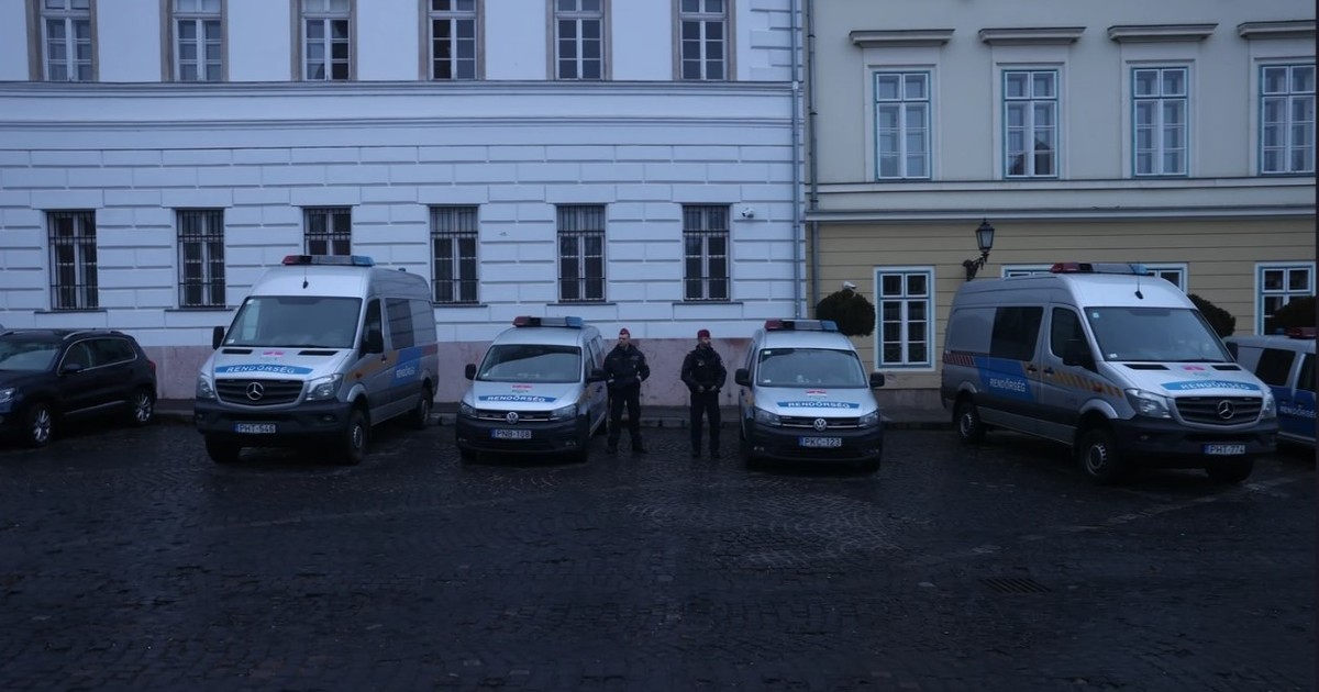 Titkos neonáci bulira csapott le a rendőrség és a NAV Budaörsön